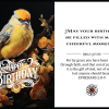 Christian-inspired Cheerful Moments Happy Birthday Eco-Friendly Greeting Card (Virtual)
