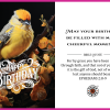 Christian-inspired Cheerful Moments Happy Birthday Eco-Friendly Greeting Card (Virtual)