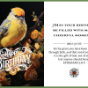 Christian-inspired Cheerful Moments Happy Birthday Eco-Friendly Greeting Card (Virtual)